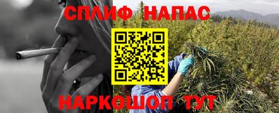 ешки Тверь