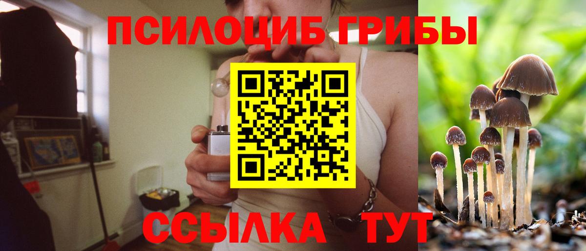 Осинники  Псилоцибиновые грибы мухоморы  Вход с VPN 